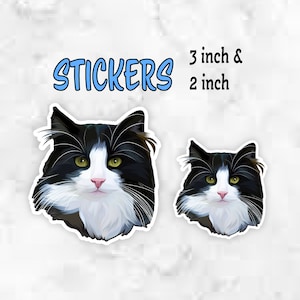 Cat Sticker, Tuxedo Cat, Cute Sticker for Cat Lover, Animal Sticker for Notebook, Planner, Laptop, Water Bottle, Phone Case, Locker, Crafts