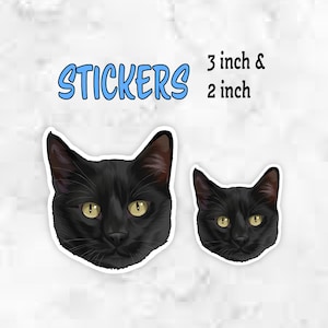 Black Cat Waterproof Vinyl Sticker: Laptop, Planner, Water Bottle