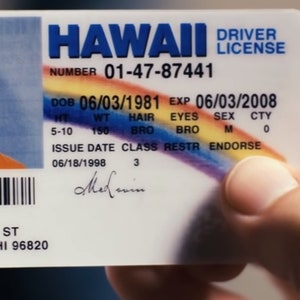 McLovin ID Card License Superbad, Fogell, Christopher Mintz-Plasse Card Stock image 4