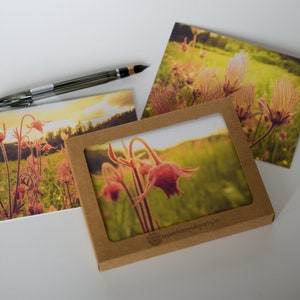 Jeu de 12 cartes de correspondance Wyoming Prairie Smoke Wildflower, cartes de correspondance du Wyoming, fête des mères, merci, hôtesse, cadeau pour amoureux de la nature