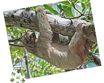 Three-Toed Sloth Jigsaw Puzzle in 4 sizes, 100, 250, 500 or 1000 piece, Unique Sloth Gift for Child or Adult, Downtime Activity, Get Well