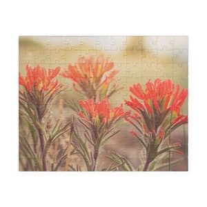 Indian Paintbrush Wildflower Jigsaw Puzzle: Wyoming State Flower Gift