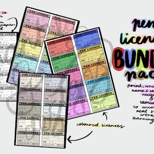 BUNDLE- Printable Pen Licences for the Classroom