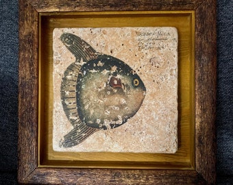 Vintage Fish Tile | Ocean Tiles | Sea Wall Décor | Ocean Themed Bathroom | Vintage Tile Art | Stone Tile Décor |  Ceramic Tiles