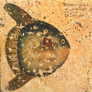 Vintage Fish Tile | Ocean Tiles | Sea Wall Décor | Ocean Themed Bathroom | Vintage Tile Art | Stone Tile Décor | Ceramic Tiles
