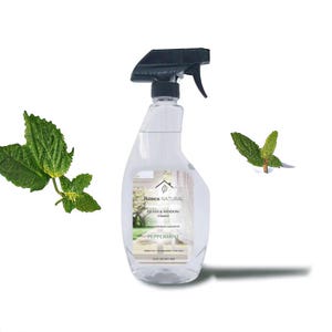 Natural Glass & Window Cleaner - Peppermint
