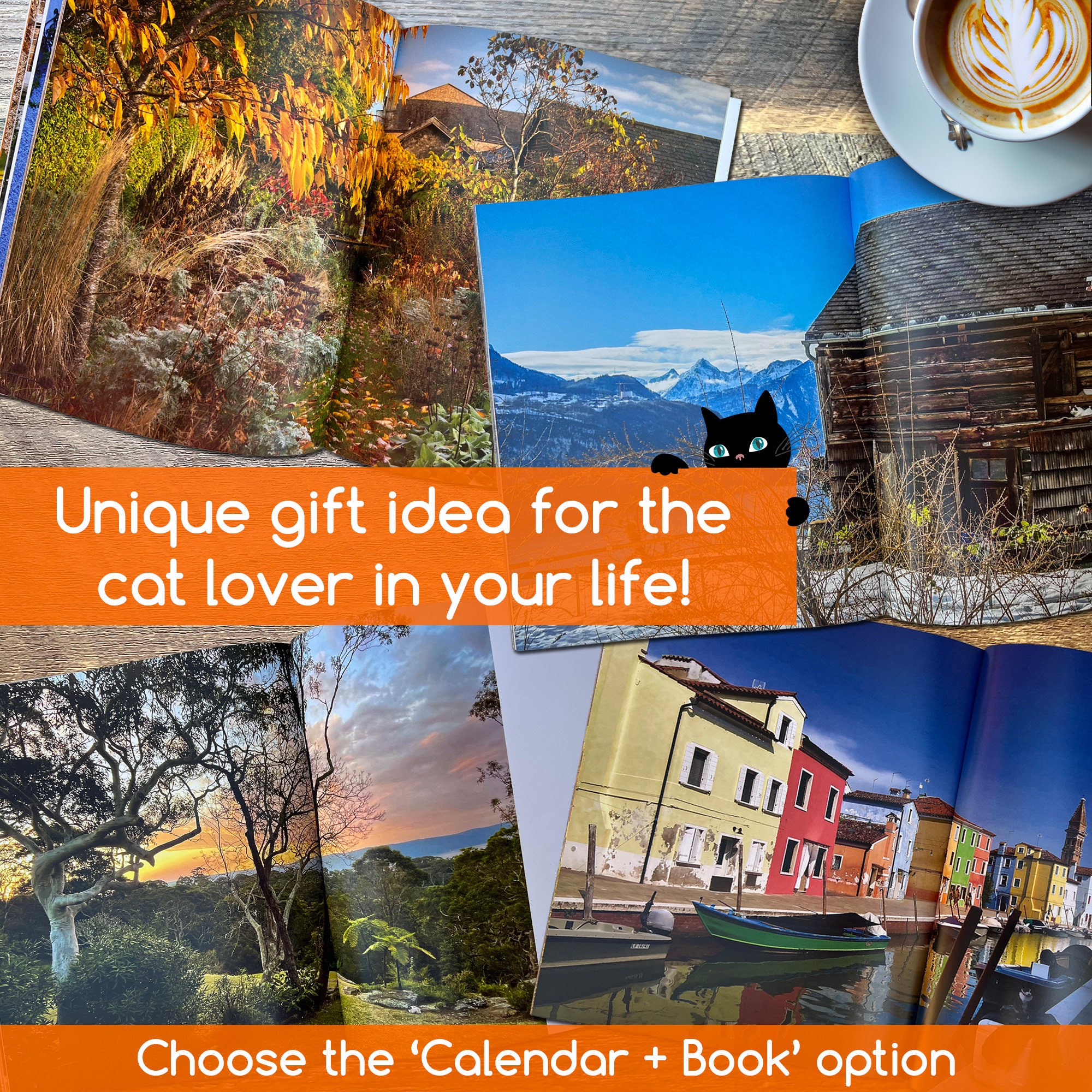 2024-cat-wall-calendar-beautiful-photos-hidden-cats-unique-etsy-canada