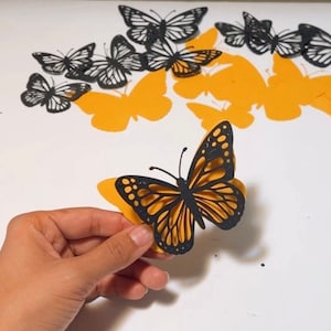 Monarch Butterfly PNG Mariposa Monarca