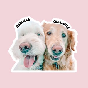 Custom Pet Stickers, Dog Mom Stickers, Personalized Animal Sticker - Etsy