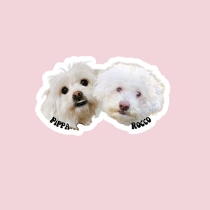 Custom Pet Stickers, Dog Mom Stickers, Personalized Animal Sticker - Etsy