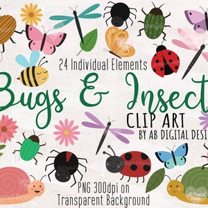 Niedliche Käfer & Insekten Clipart | Schmetterling, Spinnen, Schnecken, Libelle Clipart | Frühling PNG-Dateien nur
