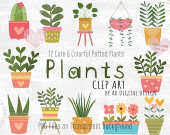 Potted Plants Clipart | House Plants Illustration | Cute Flowers, Cactus & Succulents Clipart | Spring Flowers | PNG Files