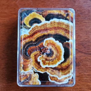 Mushroom Playing Cards, Unique Playing Cards, Fungi, Deck of Cards