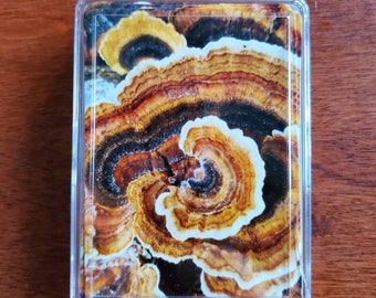 Mushroom Playing Cards, Unique Playing Cards, Fungi, Deck of Cards