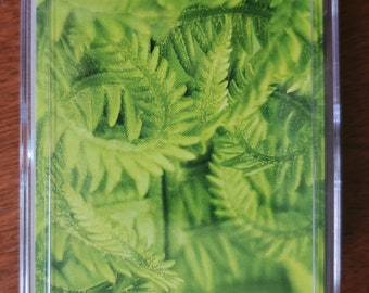 Playing Cards, Fern Deck of Cards, Fern Playing Cards, Standard Deck, Poker Size Cards,  Plant Deck, Cards with plants