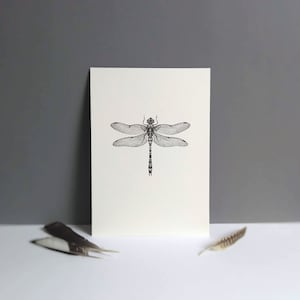 May include: A monochrome dragonfly illustration on a cream card. The dragonfly is centrally positioned, with detailed wings and body. Two feathers are in the foreground. The card is set against a grey backdrop.