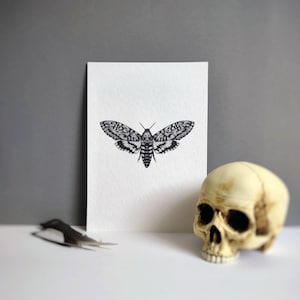 Moth | Death's-head hawkmoth | Acherontia atropos | Skull | Dotwork | A4 print | Insects | Wall art