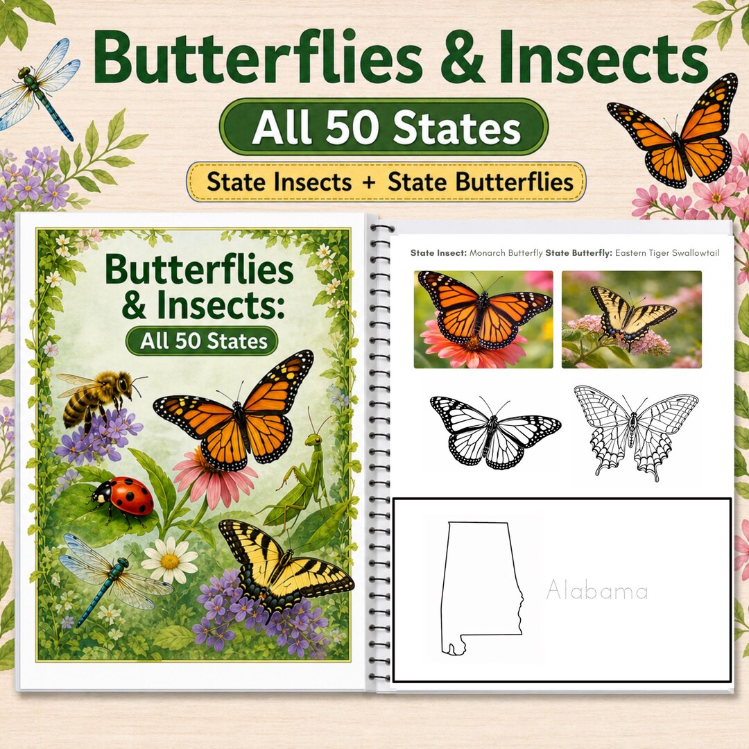 Us State Insects Poster US State Insects and Butterflies All 50 States Printable Pack ...
