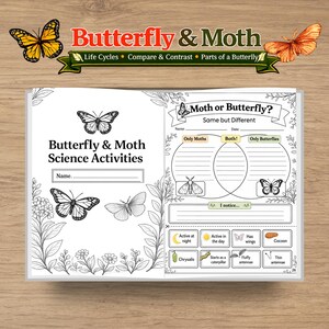 Könnte beinhalten: Ein schwarz-weißes wissenschaftliches Arbeitsblatt mit dem Titel "Butterfly & Moth Science Activities". Das Blatt enthält Illustrationen von Schmetterlingen und Motten mit Abschnitten zum Vergleichen und Gegenüberstellen ihrer Eigenschaften. Das obere Banner lautet "Butterfly & Moth".