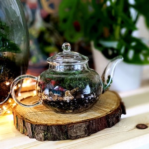 DIY Mini Teapot Terrarium Small Forest Fairy Garden Mossarium Closed Terrarium Kit image 1