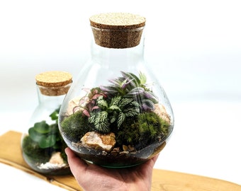 DIY Mini Conical Terrarium Kit • Colourful or Fern Closed Terrarium Kit • Closed Cork Top Terrarium