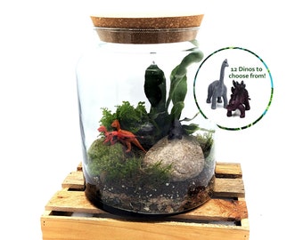 DIY Large Dinosaur Closed Terrarium • Beginners Terrarium • Natural Forest Jurassic • Plants, Glass, Tools, Substrate and Instructions