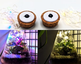 Terrarium Cork with Light 3.4cm • Battery Powered Light Up LED Fairy Light Cork • Batteries Included