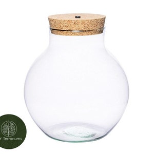 Peut inclure: Un bocal en verre transparent avec un couvercle en li&egrave;ge. Le bocal est rond et a une large ouverture. Il est parfait pour cr&eacute;er un terrarium.