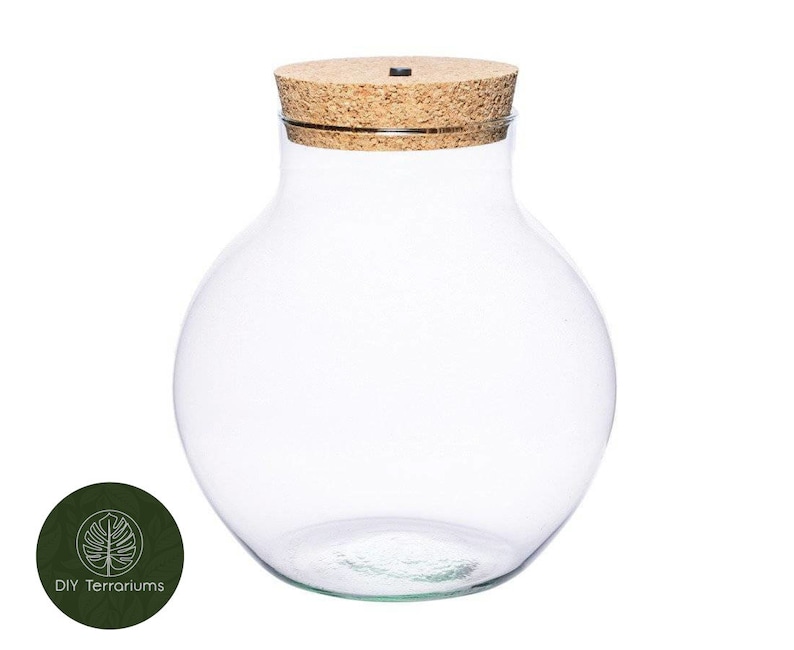 Peut inclure: Un bocal en verre transparent avec un couvercle en li&egrave;ge. Le bocal est rond et a une large ouverture. Il est parfait pour cr&eacute;er un terrarium.