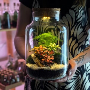 DIY Tall Light Up Closed Terrarium • Beginners Closed Terrarium Kit • Colourful Light Up Terrarium Kit image 2