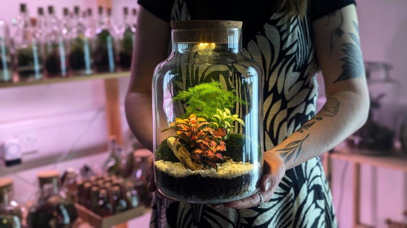 DIY Tall Light Up Closed Terrarium • Beginners Closed Terrarium Kit • Colourful Light Up Terrarium Kit image 2