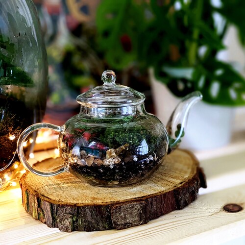 DIY Mini Teapot Terrarium • Small Forest Fairy Garden • Mossarium • Closed Terrarium Kit