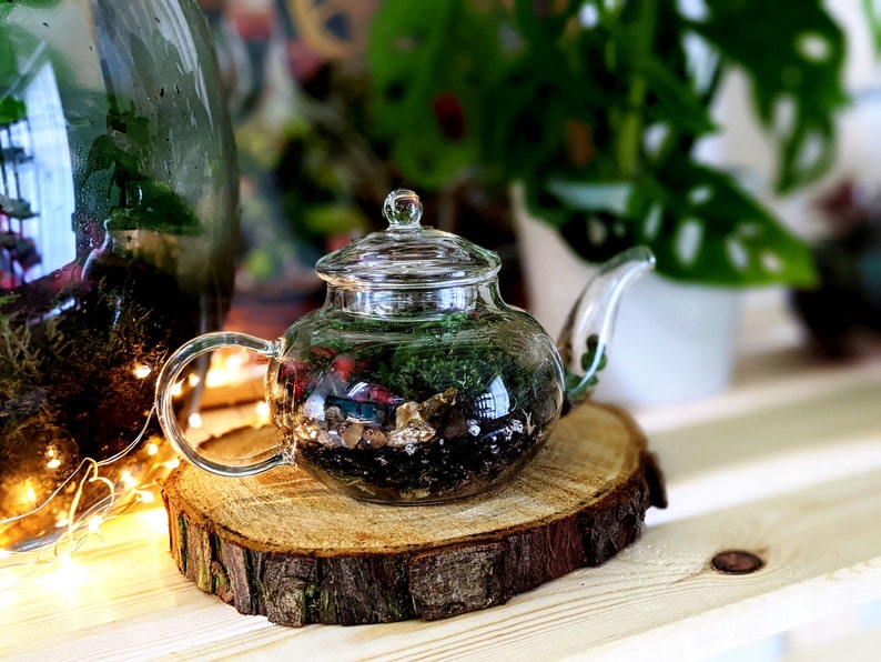 DIY Mini Teapot Terrarium Small Forest Fairy Garden Mossarium Closed Terrarium Kit Bild 1