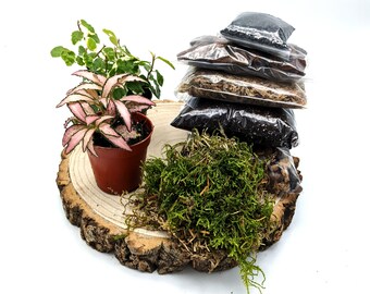 DIY Small Closed Terrarium Starter Kit • With 2 Humidity Loving Plants Included • Soil, Sphagnum Moss, Charcoal, Pebbles, Bark