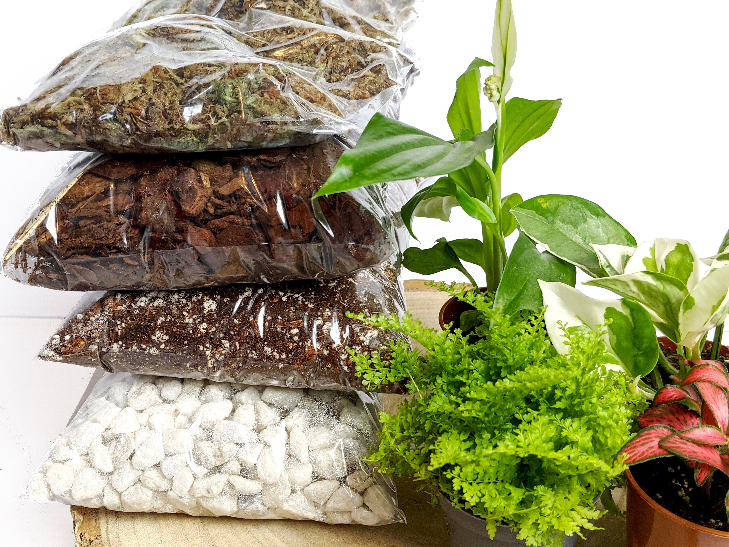 DIY Large Closed Terrarium Starter Kit With 4 Humidity Etsy UK