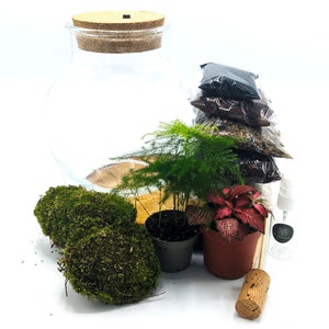 Peut inclure: Un kit de terrarium avec un bocal en verre transparent, un couvercle en li&egrave;ge, deux types de mousse, une plante rouge et verte, une foug&egrave;re verte, une petite bouteille d'eau, un b&acirc;tonnet en bois et quatre sachets de terre.