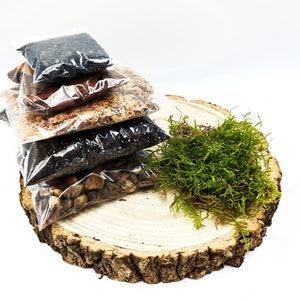 DIY Small Terrarium Starter Kit • Soil, Sphagnum Moss, Charcoal, Pebbles, Orchid Bark, Live Moss