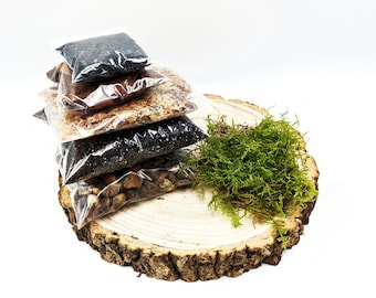 DIY Small Terrarium Starter Kit • Soil, Sphagnum Moss, Charcoal, Pebbles, Orchid Bark, Live Moss