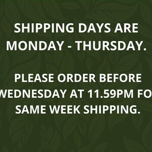 Kit de terrarium lumineux DIY : terrarium fermé pour débutants avec LED image 9