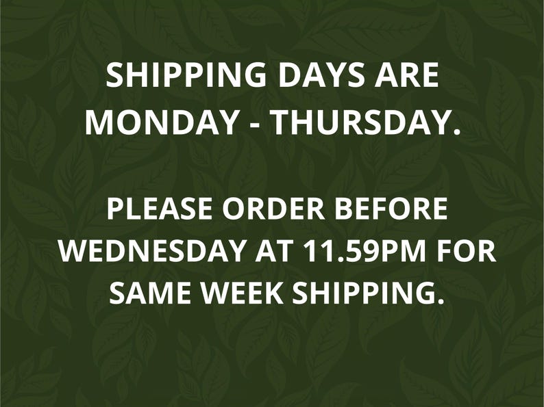 Kit de terrarium lumineux DIY : terrarium fermé pour débutants avec LED image 9