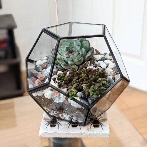 DIY Octagon Terrarium Fairy Garden Open Geometric Etsy