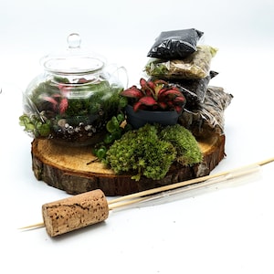 DIY Mini Teapot Terrarium Small Forest Fairy Garden Mossarium Closed Terrarium Kit image 2