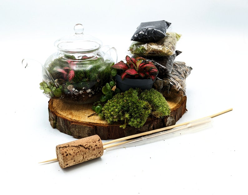 DIY Mini Teapot Terrarium Small Forest Fairy Garden Mossarium Closed Terrarium Kit Bild 2