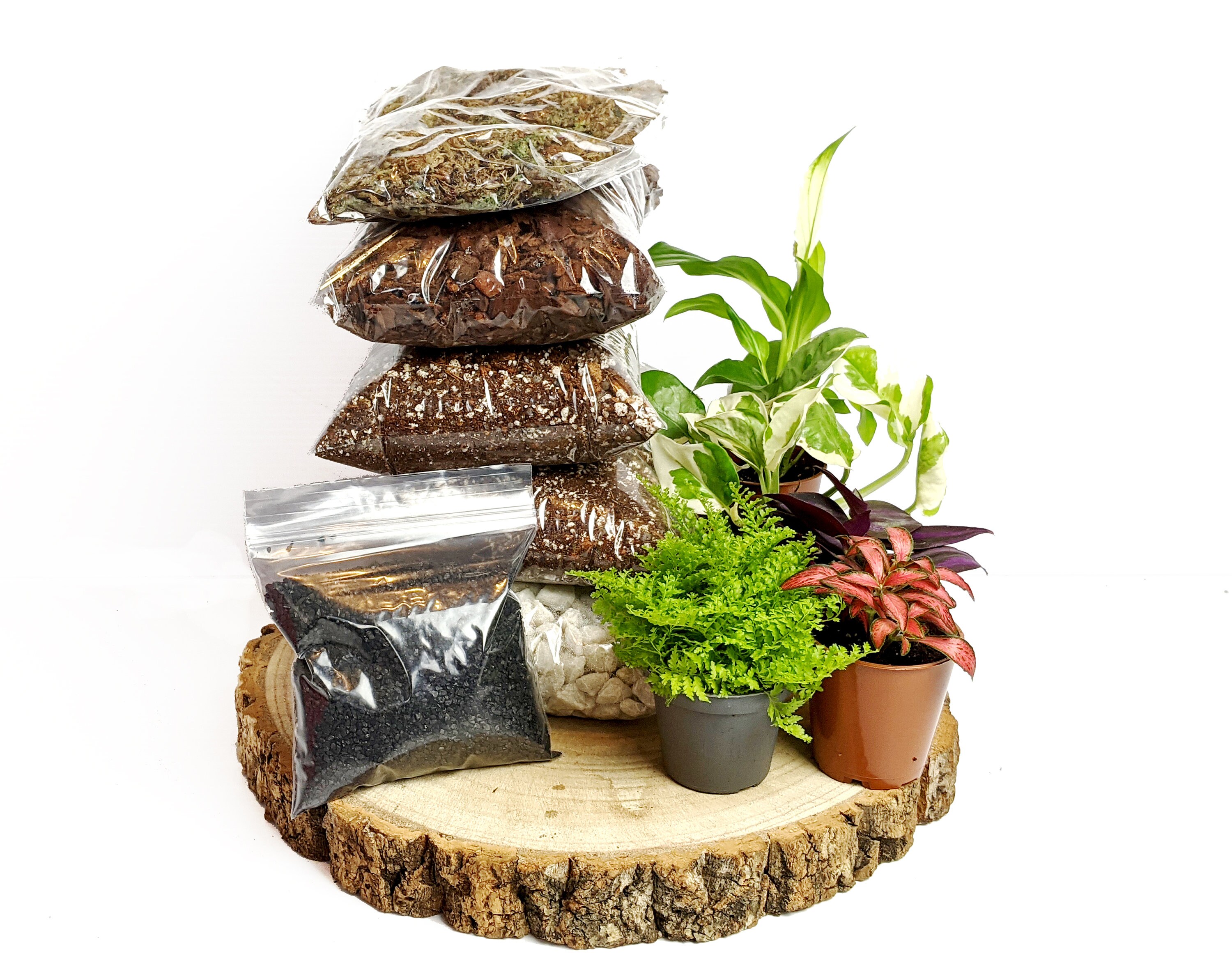 DIY Xtra Large Closed Terrarium Starter Kit With 5 Humidity Etsy