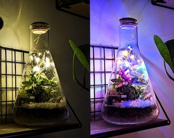 DIY 500ml Light Up Conical Flask Colourful Cork Top Terrarium • Science Lovers • 500ml Closed Terrarium Kit • Pink, Red, White, Natural