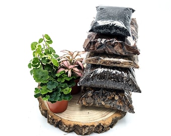 DIY Medium Closed Terrarium Starter Kit • With 3 Humidity Loving Plants Included • Soil, Sphagnum Moss, Charcoal, Pebbles, Orchid Bark