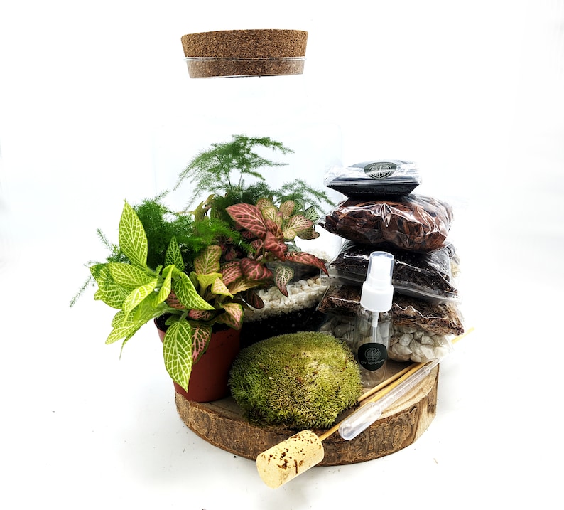 May include: A terrarium kit with a glass jar, cork lid, moss, soil, and plants. The kit includes a small spray bottle and a wooden dowel.