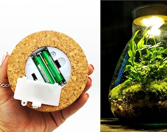Terrarium Cork with Light 10.1 cm • Battery Powered Light Up LED Cork • Batteries Optional