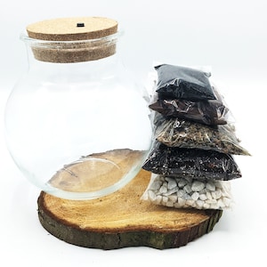 Peut inclure: Un bocal en verre transparent pour terrarium avec un couvercle en li&egrave;ge, pos&eacute; sur une tranche de bois. Le bocal est entour&eacute; de cinq petits sacs en plastique remplis de mat&eacute;riaux de diff&eacute;rentes couleurs, notamment noir, brun, blanc et vert.