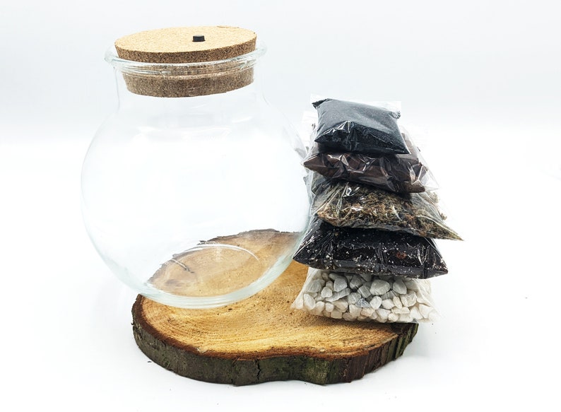 Peut inclure: Un bocal en verre transparent pour terrarium avec un couvercle en li&egrave;ge, pos&eacute; sur une tranche de bois. Le bocal est entour&eacute; de cinq petits sacs en plastique remplis de mat&eacute;riaux de diff&eacute;rentes couleurs, notamment noir, brun, blanc et vert.